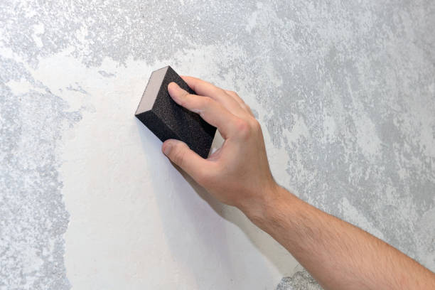 Best Black Mold Removal  in Burbank, WA
