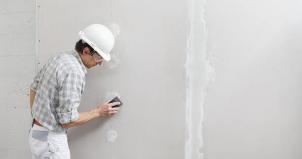 Mold Remediation for Rental Properties in Burbank, WA