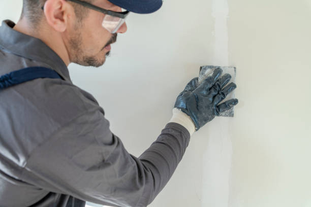 Best Mold Remediation for Rental Properties  in Burbank, WA
