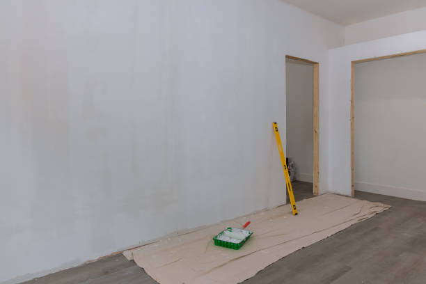 Best Mold-Related Health Consultation  in Burbank, WA