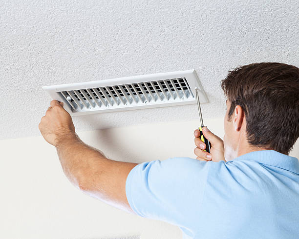 Professional Mold Removal in Burbank, WA
