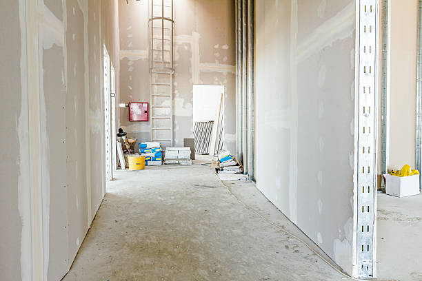 Best Mold Documentation for Insurance Claims  in Burbank, WA
