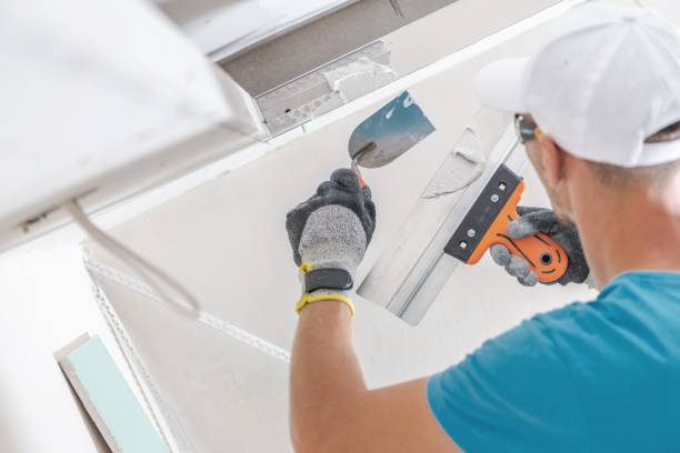 Best Mold Odor Removal Services  in Burbank, WA